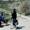 Saímos de Barcelona pela manhã em uma viagem de trem de duas horas até Cervera onde encontramos com outras pessoas do grupo e Lluis que organizava o passeio. Começamos conhecendo...<div class="addthis_toolbox addthis_default_style addthis_" addthis:url='http://errante.com.br/europa/saida-em-bicicleta-cervera-bellpuig-lleida/' addthis:title='Saída em bicicleta Cervera – Bellpuig – Lleida ' ><a class="addthis_button_preferred_1"></a><a class="addthis_button_preferred_2"></a><a class="addthis_button_preferred_3"></a><a class="addthis_button_preferred_4"></a><a class="addthis_button_compact"></a></div>