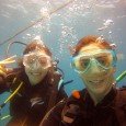 A photo with Cary, my dive buddy, she was perfect, does no spend a lot of air, goes slow to take photos… great.<div class="addthis_toolbox addthis_default_style addthis_" addthis:url='http://errante.com.br/en/lugares/oceania/australia/minha-companheira-de-mergulho/' addthis:title='My dive buddy ' ><a class="addthis_button_preferred_1"></a><a class="addthis_button_preferred_2"></a><a class="addthis_button_preferred_3"></a><a class="addthis_button_preferred_4"></a><a class="addthis_button_compact"></a></div>