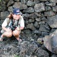 Tartaruga de 200 anos – Galápagos, Equador 2001.<div class="addthis_toolbox addthis_default_style addthis_" addthis:url='http://errante.com.br/curiosidades/tartaruga/' addthis:title='Tartaruga ' ><a class="addthis_button_preferred_1"></a><a class="addthis_button_preferred_2"></a><a class="addthis_button_preferred_3"></a><a class="addthis_button_preferred_4"></a><a class="addthis_button_compact"></a></div>