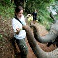 Elefantes – Tailândia 2004<div class="addthis_toolbox addthis_default_style addthis_" addthis:url='http://errante.com.br/curiosidades/elefantes/' addthis:title='Elefantes ' ><a class="addthis_button_preferred_1"></a><a class="addthis_button_preferred_2"></a><a class="addthis_button_preferred_3"></a><a class="addthis_button_preferred_4"></a><a class="addthis_button_compact"></a></div>
