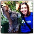 Com um Coala no Featherdale Wildlife Park, Austrália 2012 &nbsp;<div class="addthis_toolbox addthis_default_style addthis_" addthis:url='http://errante.com.br/curiosidades/coala/' addthis:title='Coala ' ><a class="addthis_button_preferred_1"></a><a class="addthis_button_preferred_2"></a><a class="addthis_button_preferred_3"></a><a class="addthis_button_preferred_4"></a><a class="addthis_button_compact"></a></div>