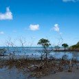Praia, crocodilos e água-viva A praia aqui é linda… mas tem crocodilo e é época água-viva, proibido entrar no mar…<div class="addthis_toolbox addthis_default_style addthis_" addthis:url='http://errante.com.br/curiosidades/praia-crocodilos-e-agua-viva/' addthis:title='Praia, crocodilos e água-viva ' ><a class="addthis_button_preferred_1"></a><a class="addthis_button_preferred_2"></a><a class="addthis_button_preferred_3"></a><a class="addthis_button_preferred_4"></a><a class="addthis_button_compact"></a></div>