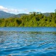 Cape Tribulation Outro passeio interessante saindo de Cairns é Cape Tribulation. Na verdade, eu não recomendo com um passeio de um dia, a melhor forma de conhecer o lugar é ficando uma...<div class="addthis_toolbox addthis_default_style addthis_" addthis:url='http://errante.com.br/lugares/oceania/australia/cape-tribulation/' addthis:title='Cape Tribulation ' ><a class="addthis_button_preferred_1"></a><a class="addthis_button_preferred_2"></a><a class="addthis_button_preferred_3"></a><a class="addthis_button_preferred_4"></a><a class="addthis_button_compact"></a></div>