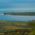 Daintree Forest (tours)