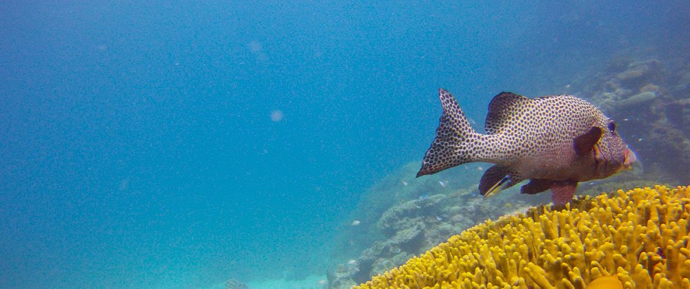 Viagem pela Austrália em 2012